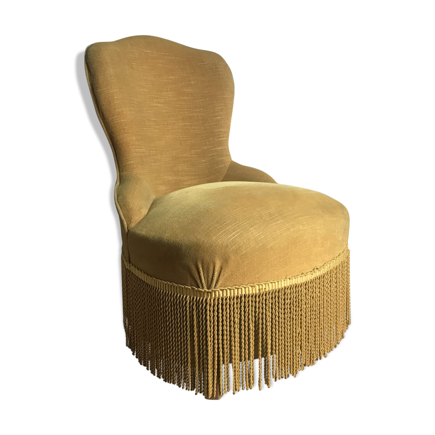 Yellow velvet toad heater