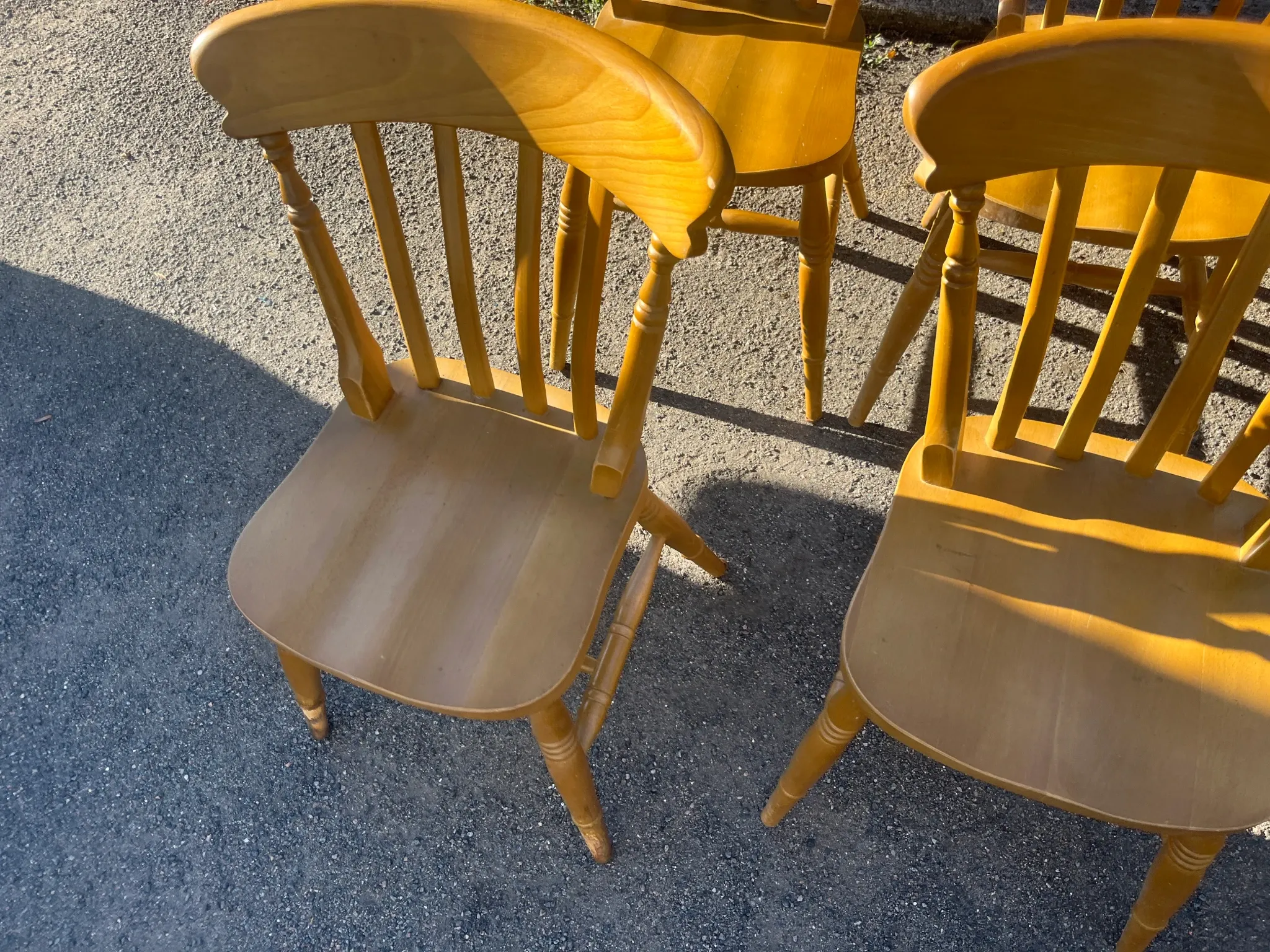 Set of 6 Interior's chairs in solid pine – Honey colour
