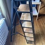 Industrial shelf ladder