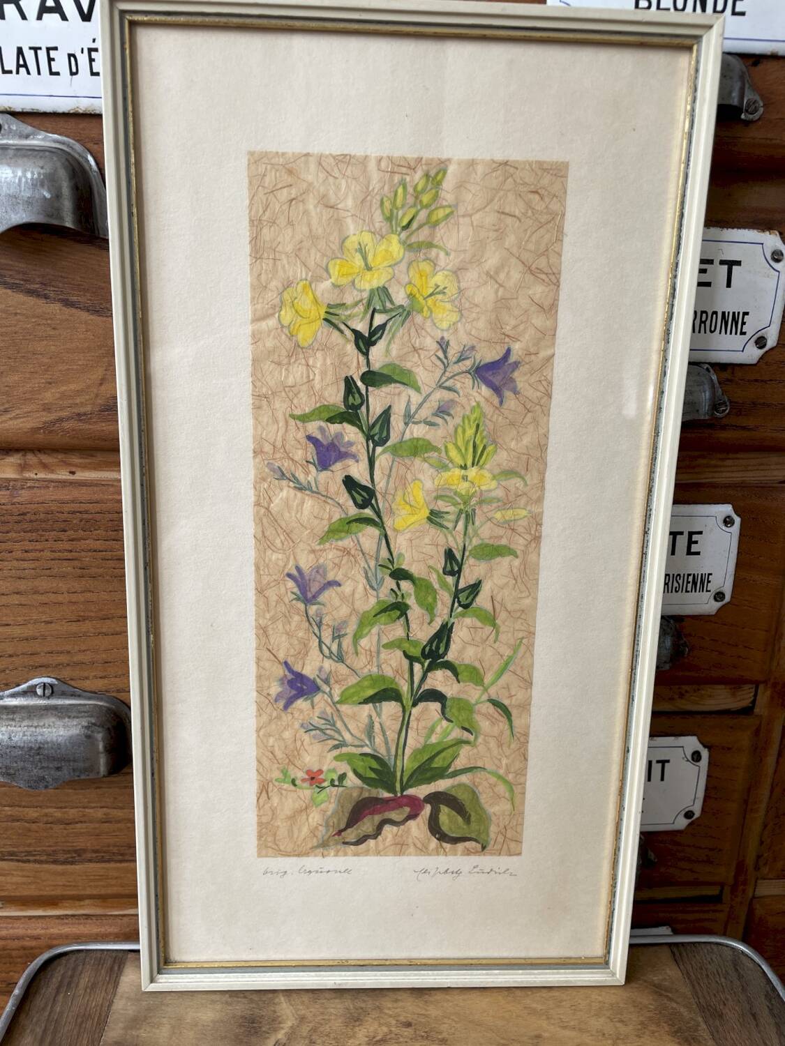 Painting on Japanese paper, herbarium style, 20 cm x 37 cm