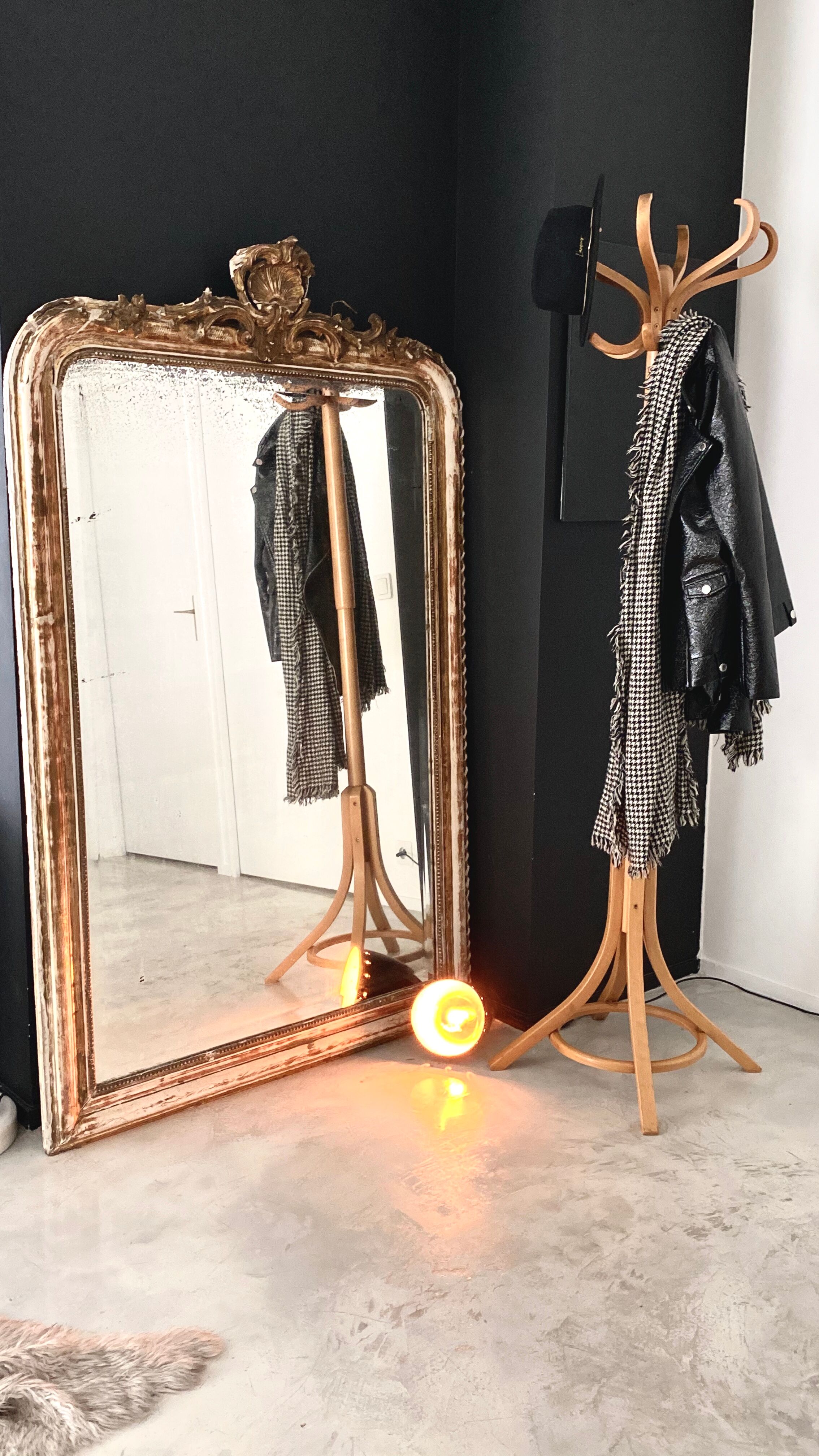 Baumann parrot coat holder