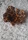 Wavy leopard resin plastic tray