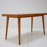 Mid-century coffee table, 1960s