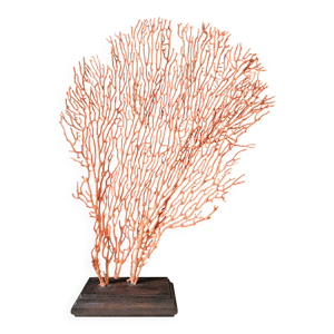 Gorgone rouge Socle en