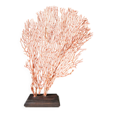 Red Gorgon Wooden Base. H: 34 cm