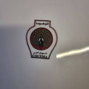 Very pretty Asian plate in very good condition.