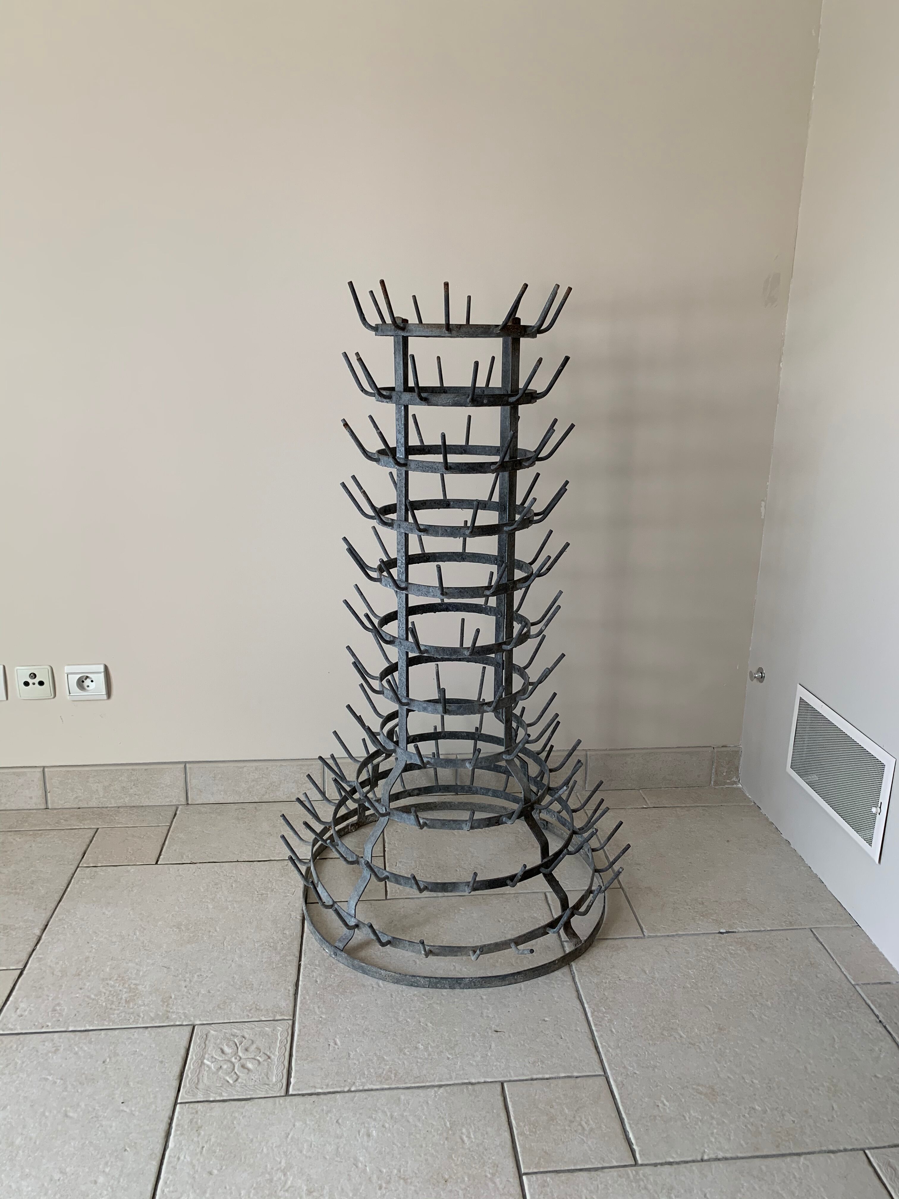 Bottle-borne hedgehog