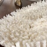 Ancient white coral branch