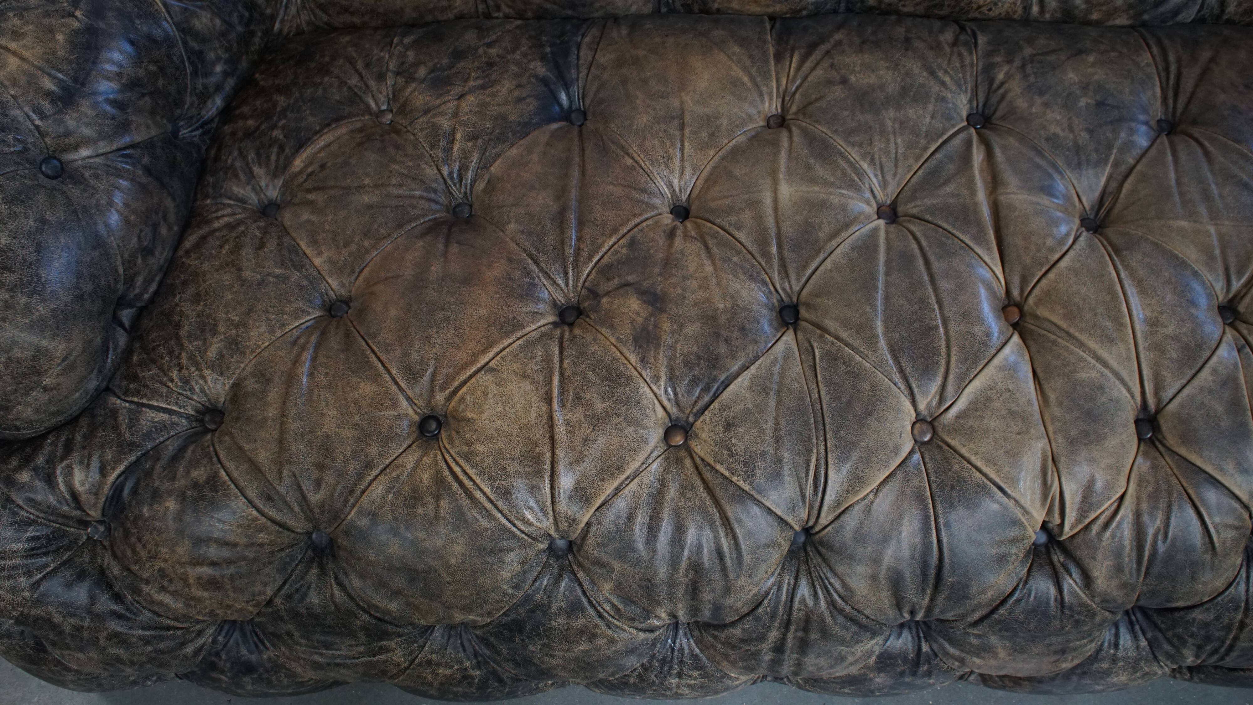 Chesterfield cowhide sofa