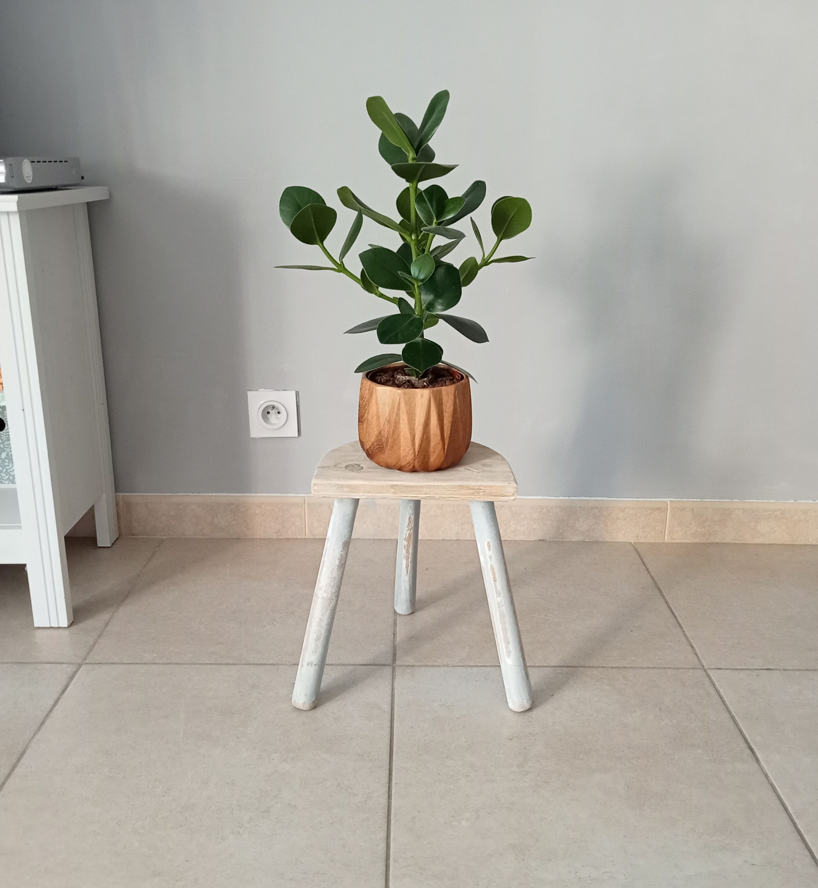 Ancient milking stool