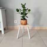 Ancient milking stool