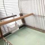 30 year old bird cage
