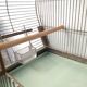 30 year old bird cage