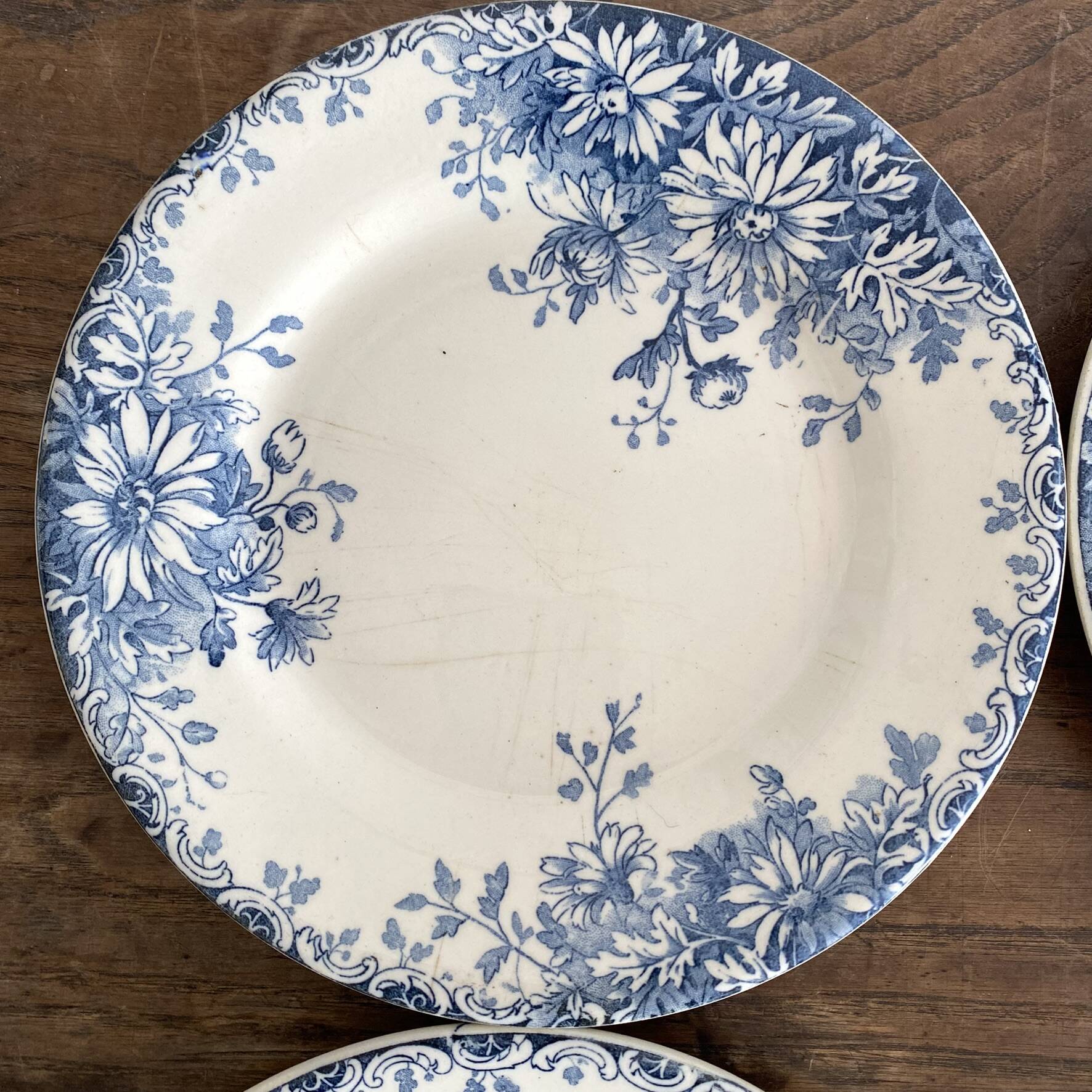 6 assiettes plates en terre de fer Gien "fleur d'automne"
