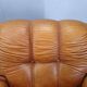 Pair of modern Italian armchairs from the mid-20th century, cognac leather, 1970.