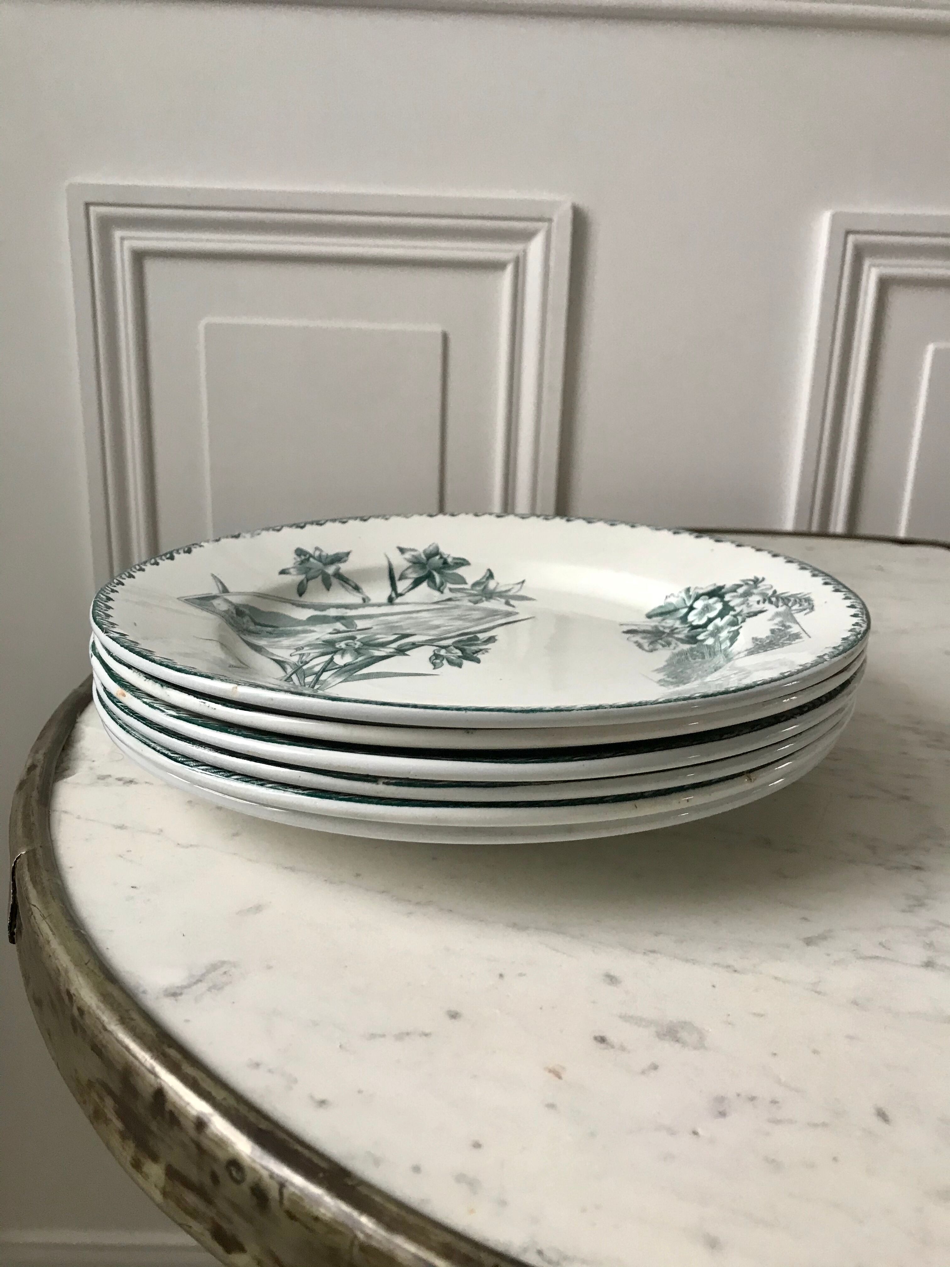 Set of 6 flat plates terre de fer saint-amand model "cartels" xixth