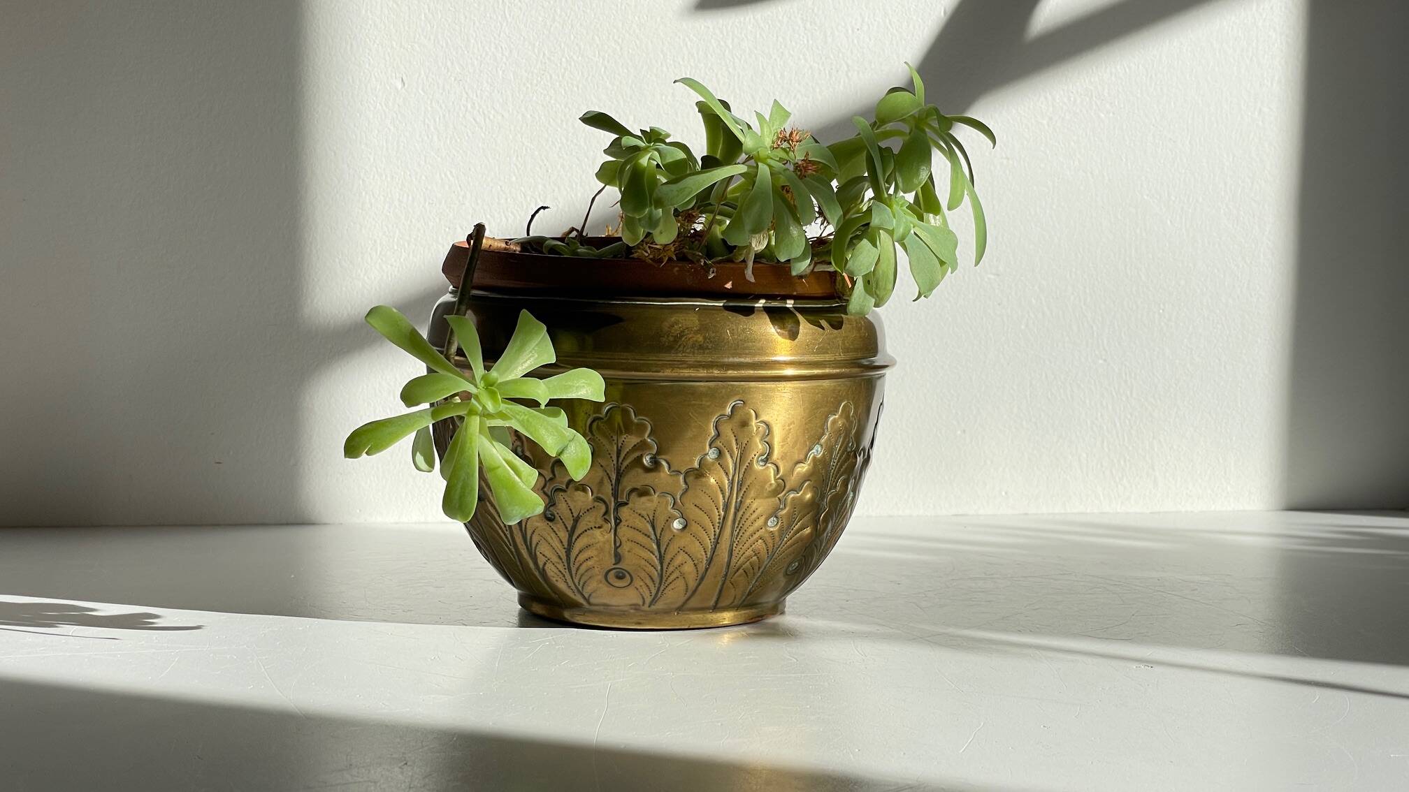 Cache-pot Art Nouveau