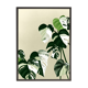 Illustration "Monstera Marbrée" by Noums Atelier