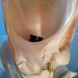 Vintage shell night light lamp from the 1960s