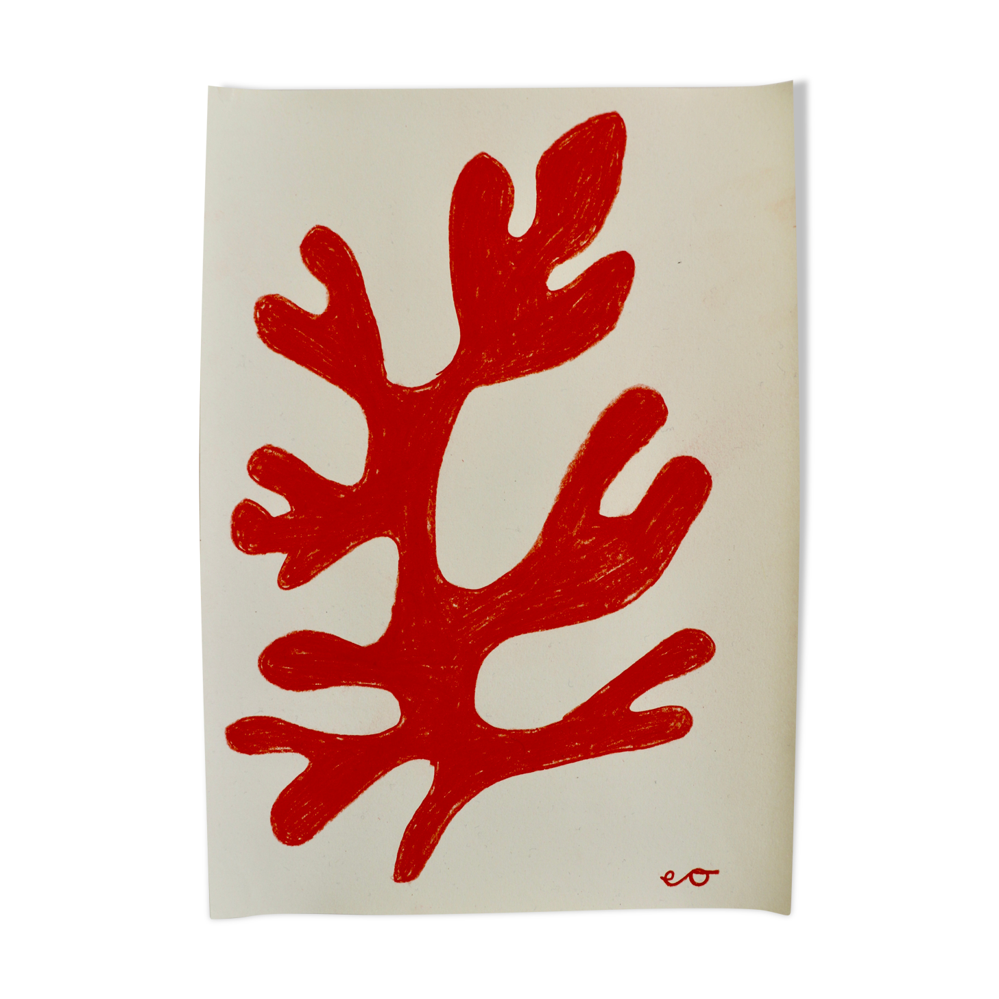 Coral drawing