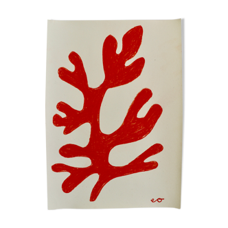 Coral drawing