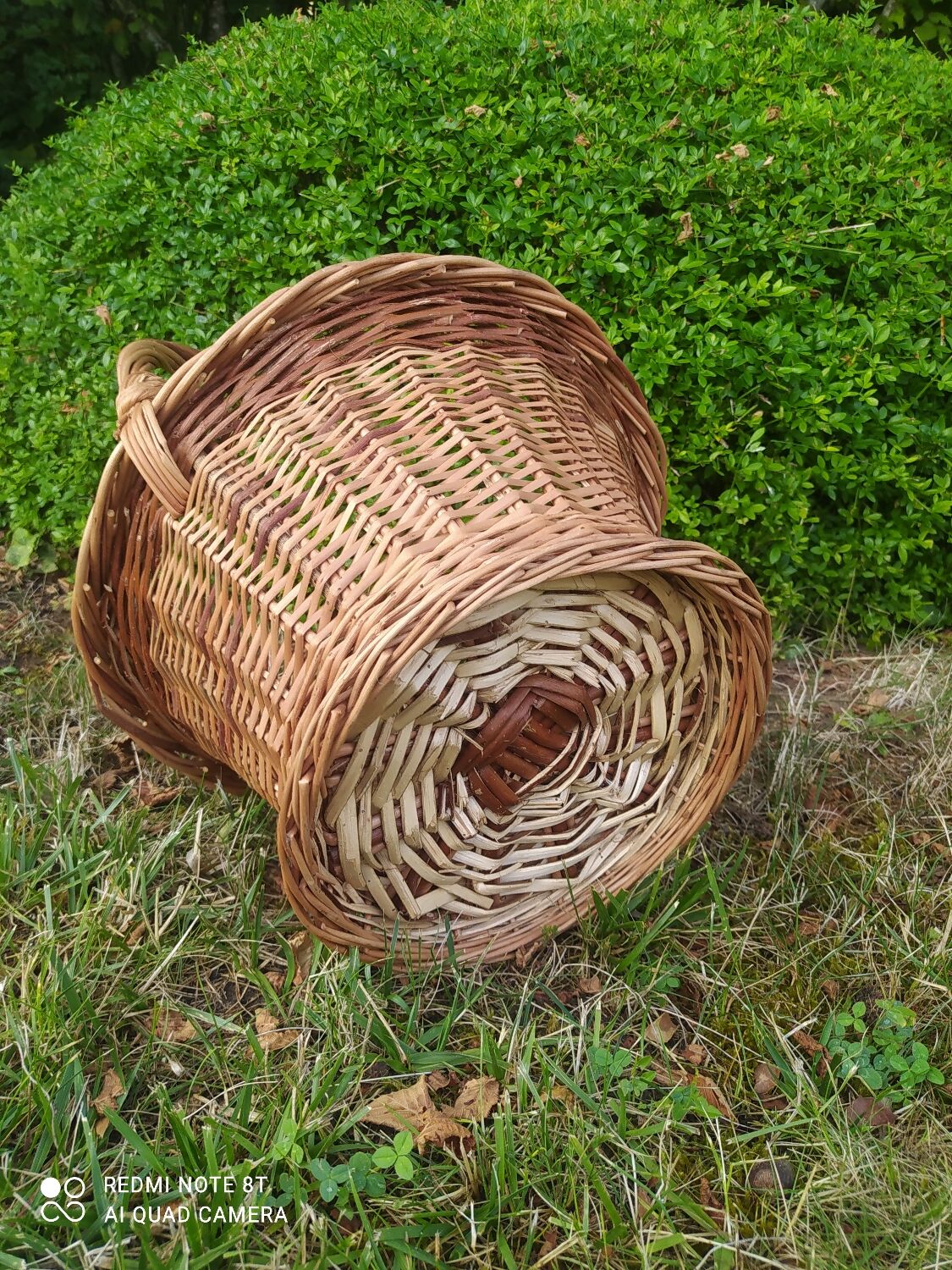 Wicker basket