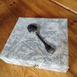 Silver spoons in their box
