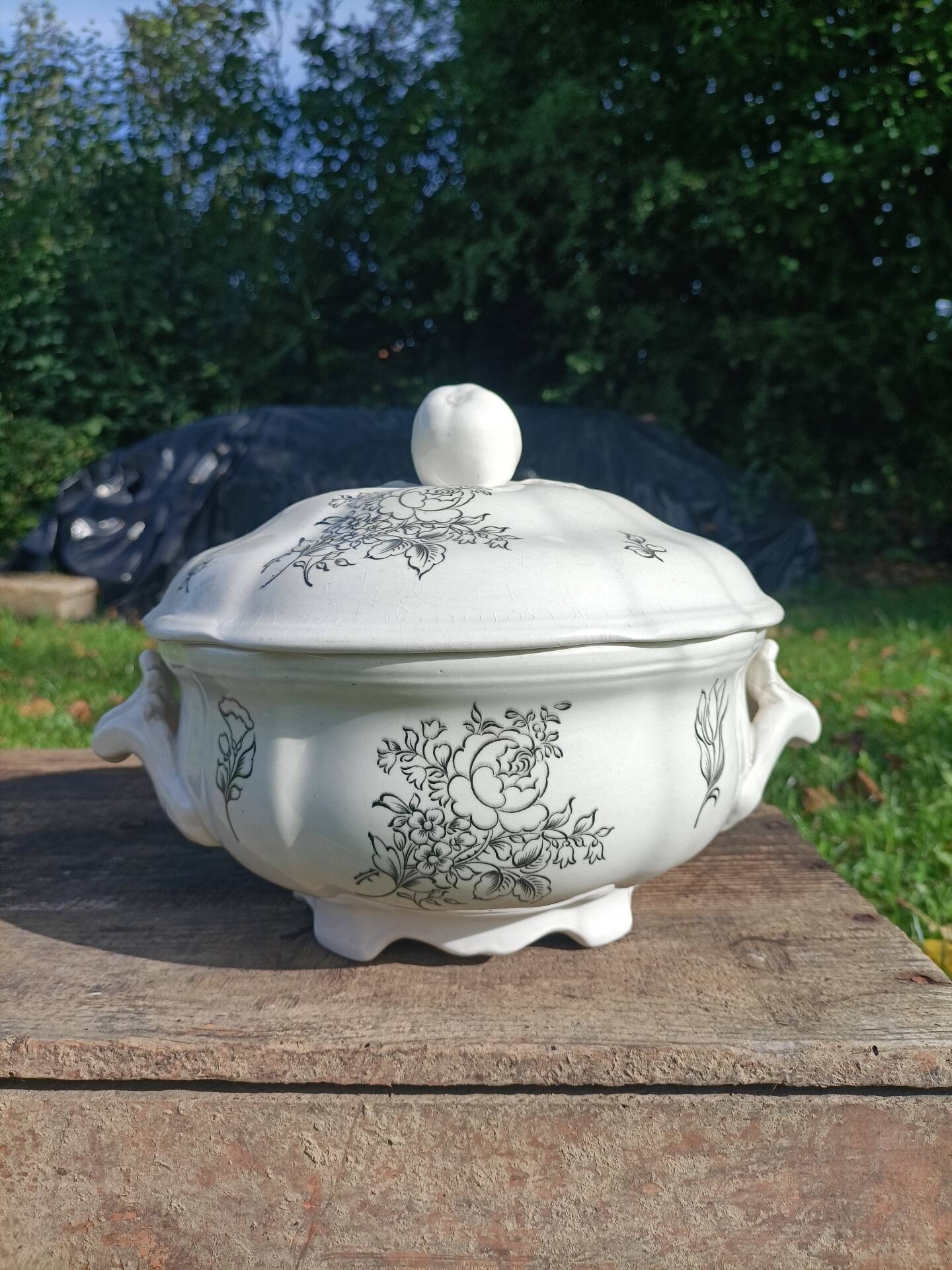 Soup tureen ~ Lunéville