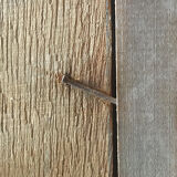 HSP painting "Tree Valley Landscape" by Othon Pfeiffer