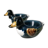 Duck cockroaches in dabbling