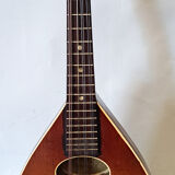 Levin high-end antique mandolin with flat bottom
