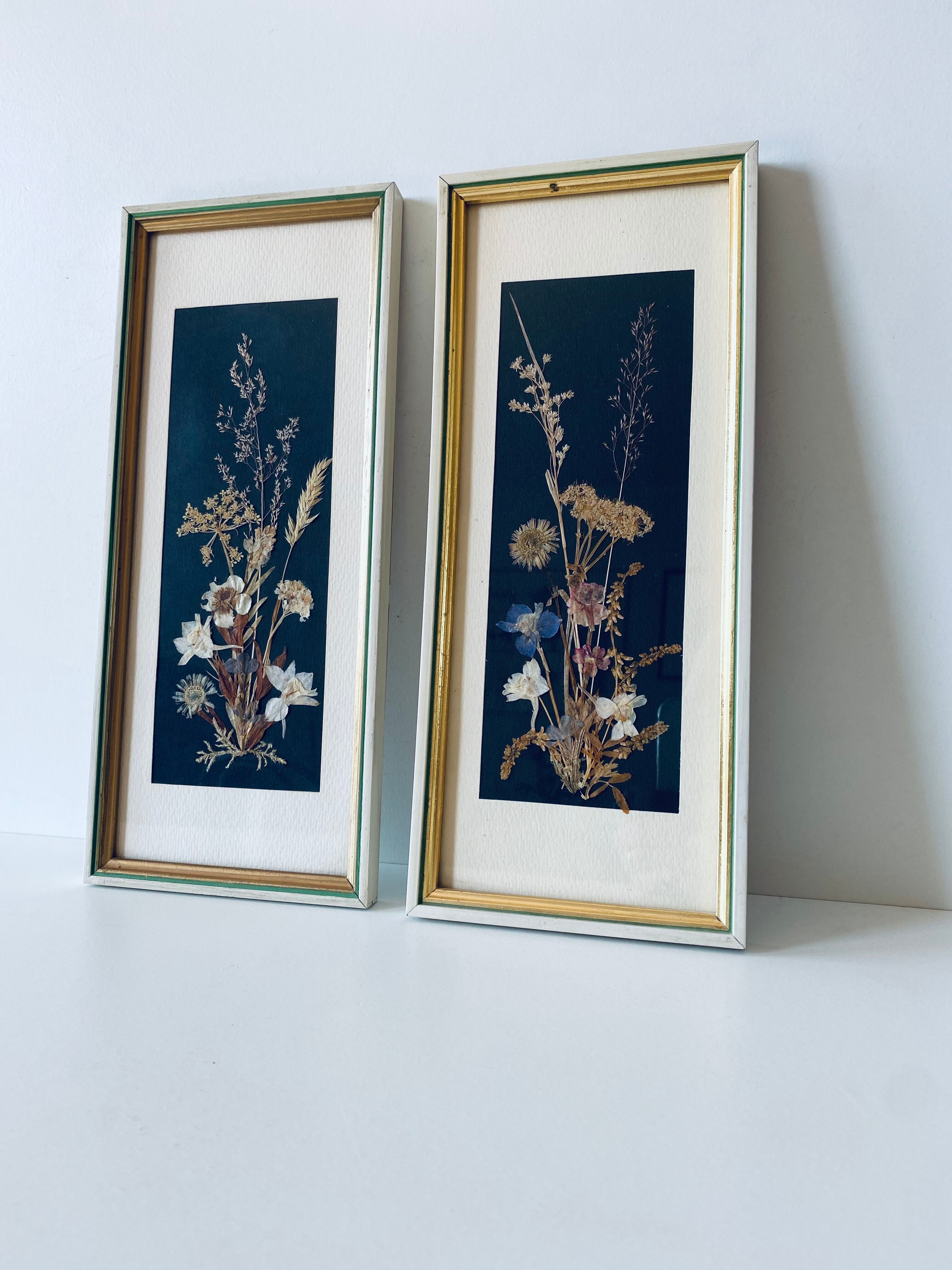Framed seagrass beds