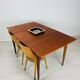 Table scandinave teck