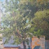 Ancient landscape