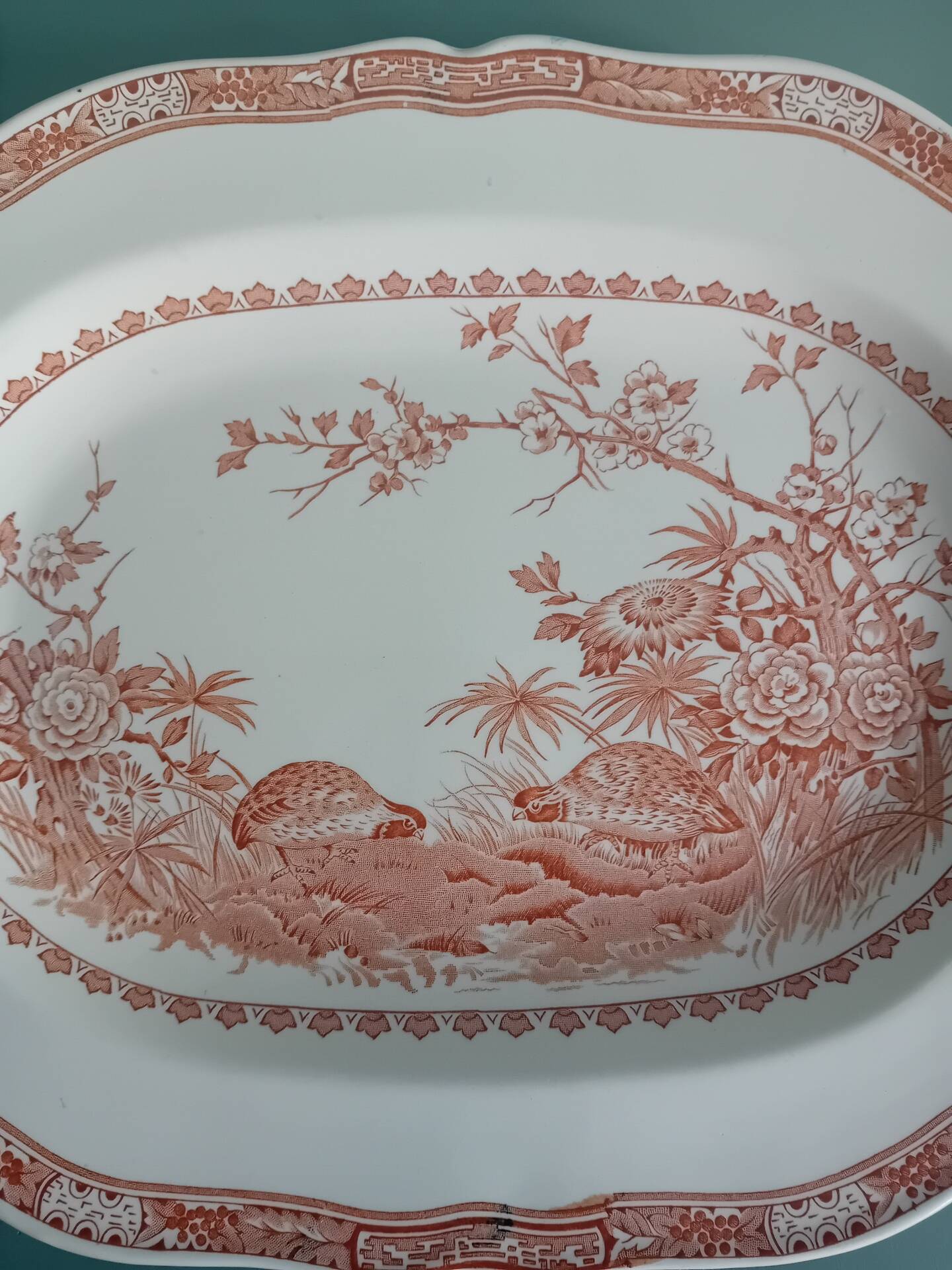 Oval plate Furnivals