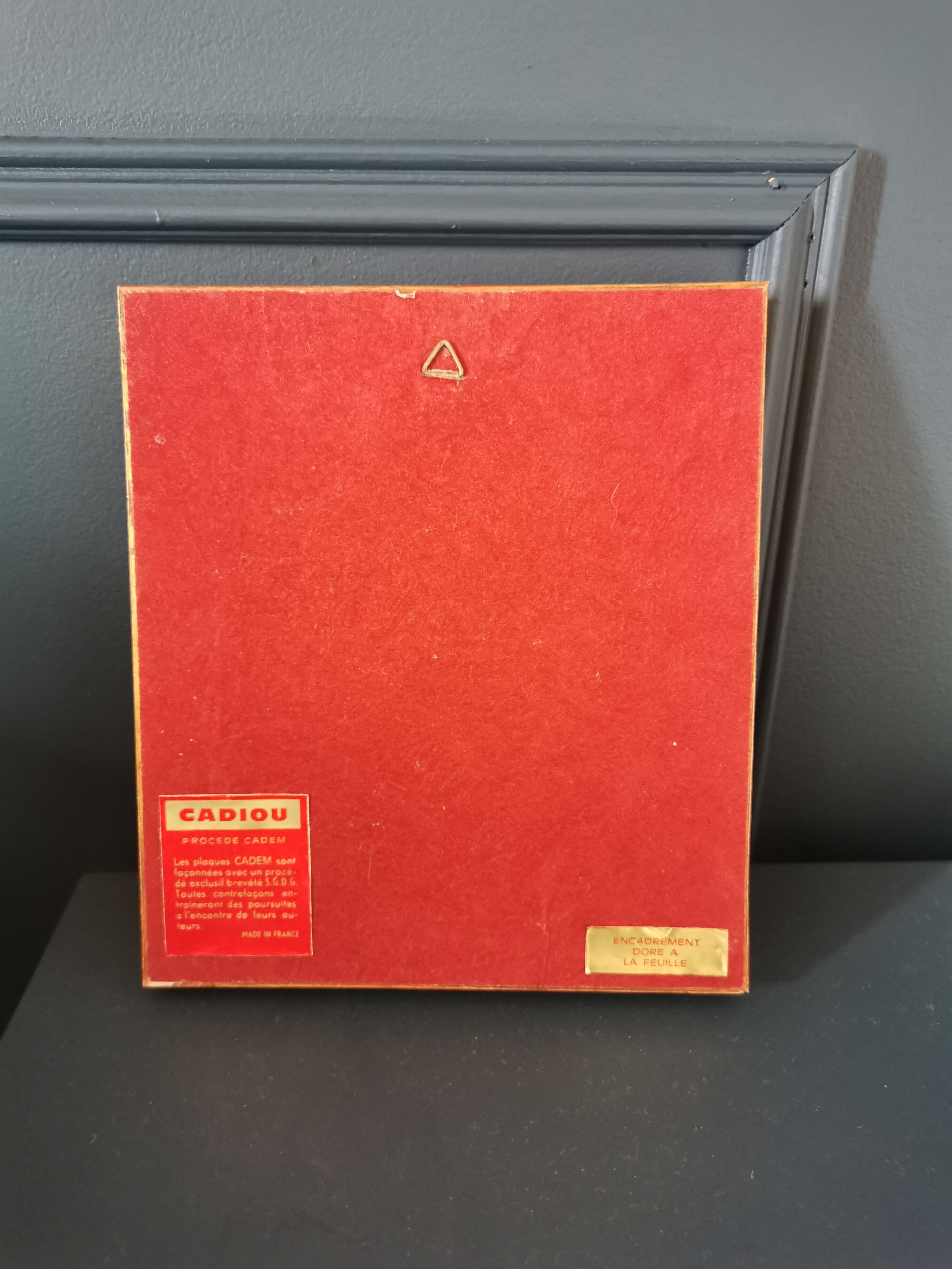 Small frame bouquet of flowers cadem process