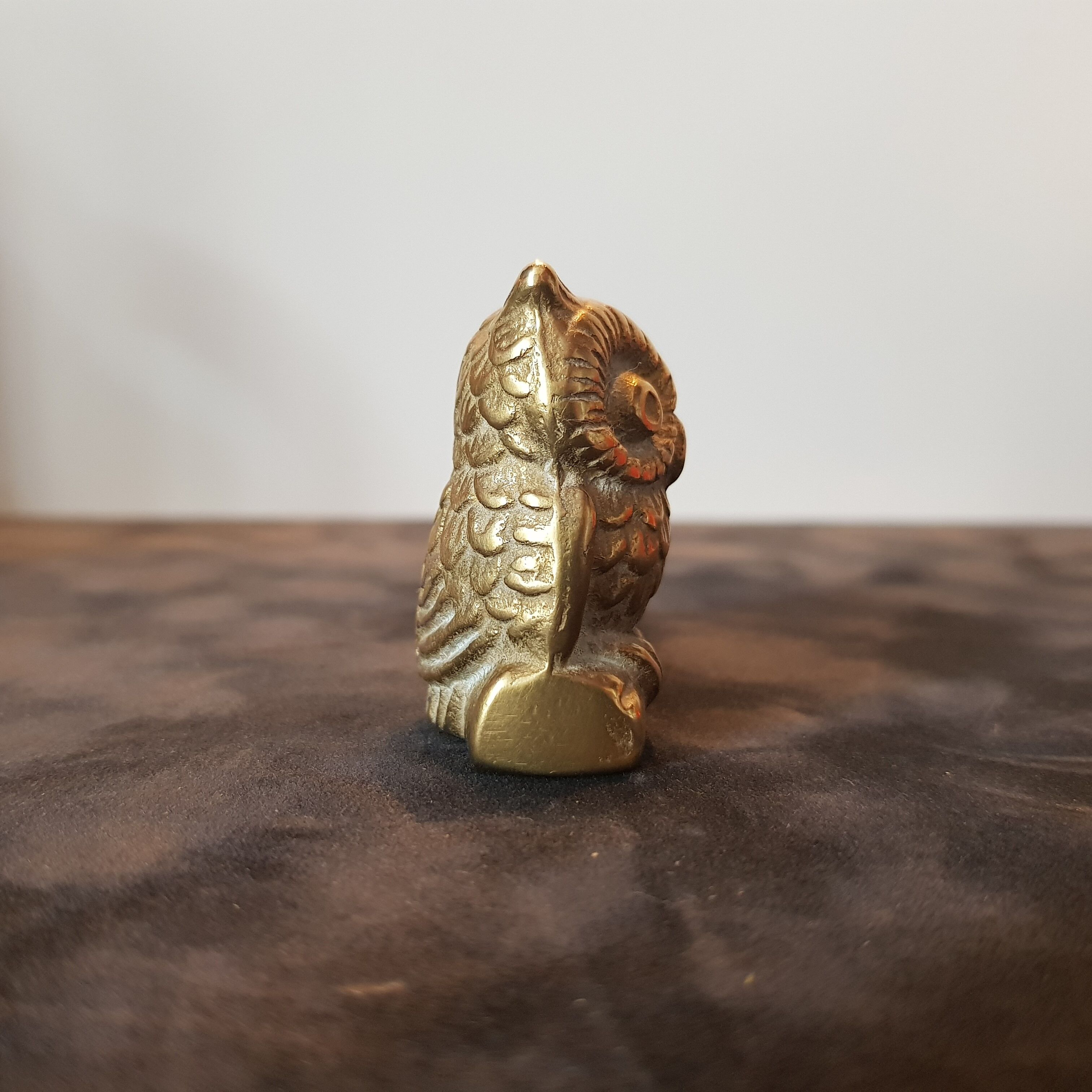Couple de chouette et hibou aiton