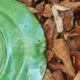 Hollow plate in green glazed clay Etienne Noël