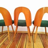 Set of chairs designed by A.Suman, Czechoslovakia, the 60s