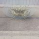 Vintage gold metal coffee table and glass top