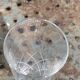 6 vintage clear chiseled crystal and glass champagne flutes