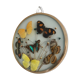 Vintage butterfly frame