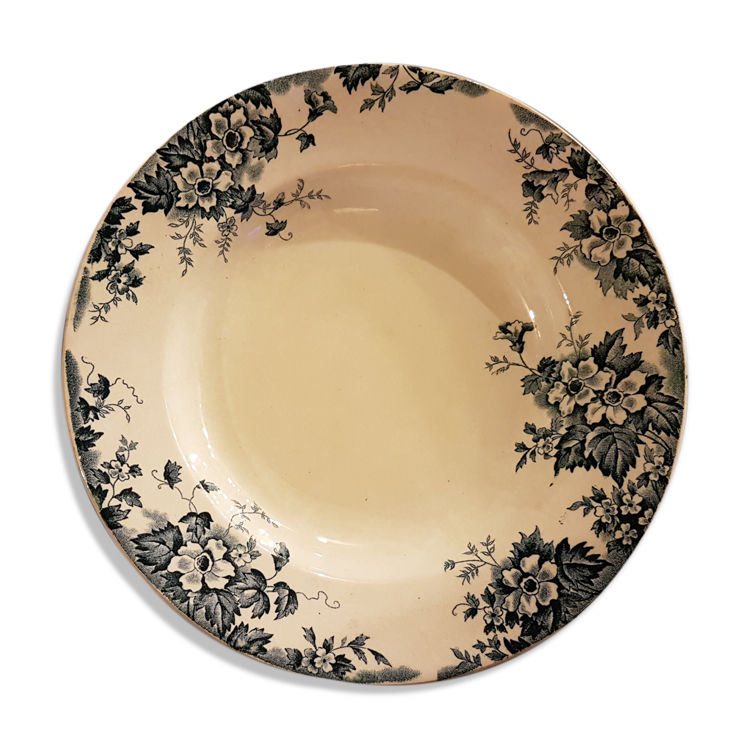 Assiette en faïence Marie-Louise Saint Amand