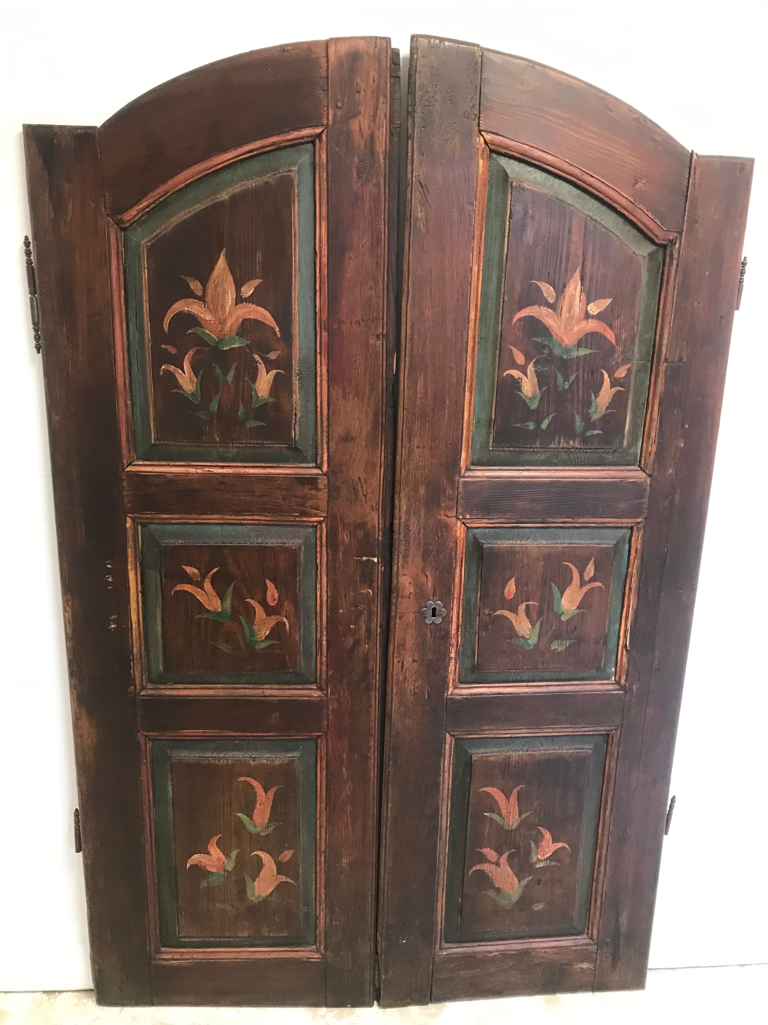 Old double door painted wood