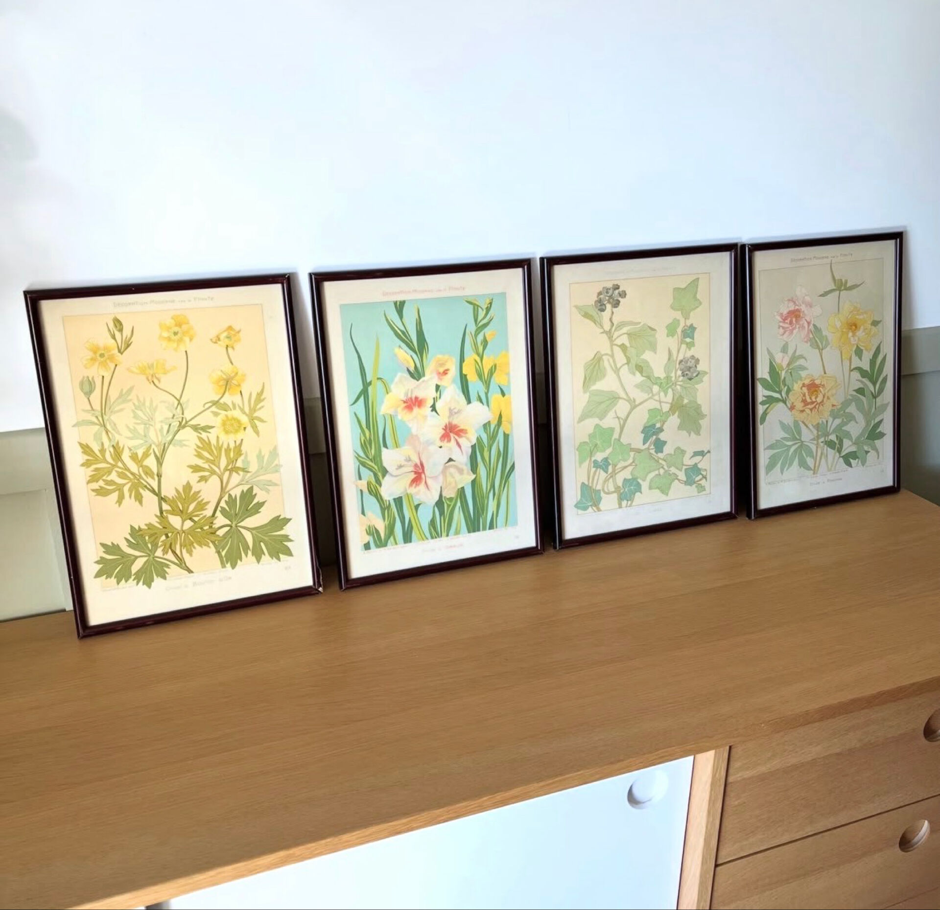 4 floral lithographs 1900