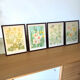 4 floral lithographs 1900