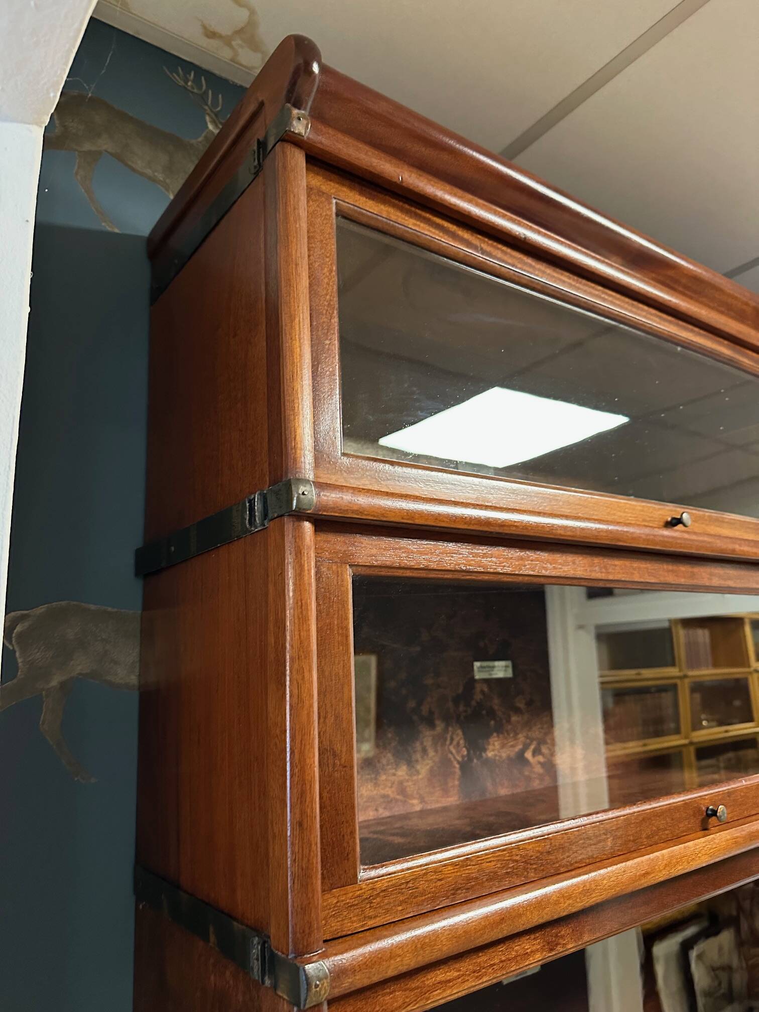Large Globe Wernicke Bookcase