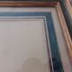 Framed antique lithograph by Pierre-Joseph Redouté