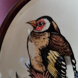 Goldfinch bird frame