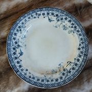 20 mismatched antique flat plates in ironstone
